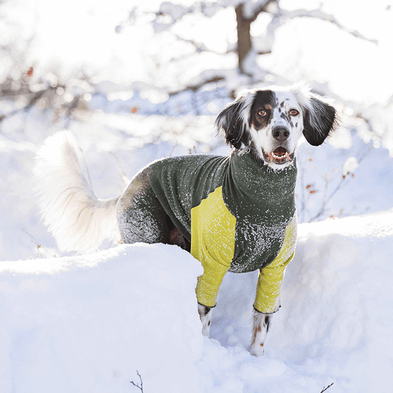 Goldpaw Stretch-Fleece Onesie Pullover mit Beinen Pyjama in lavendel lila