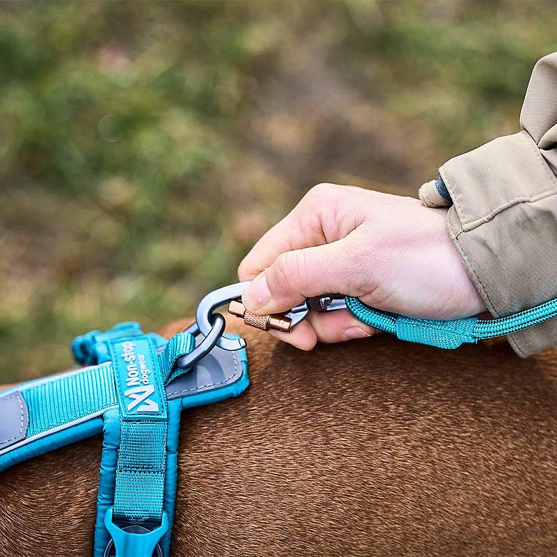 Non-stop dogwear runde Trekking Leine in teal petrol