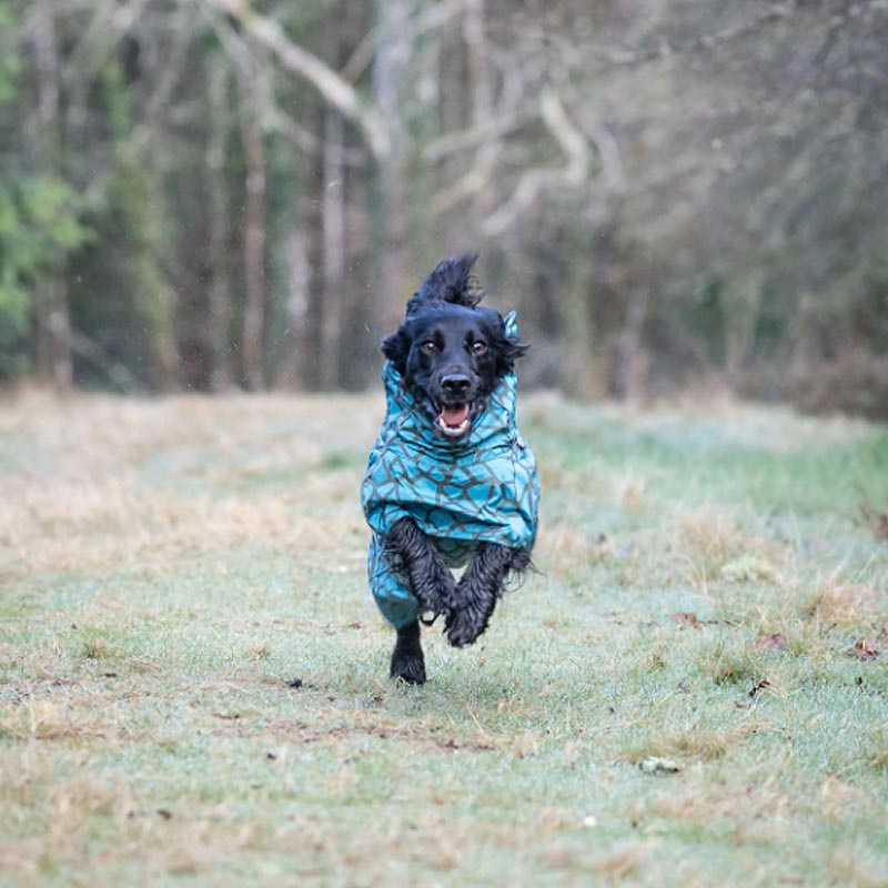 Rukka Pets gefütterter Regenmantel Regenjacke Hayton Warm in aqua blau