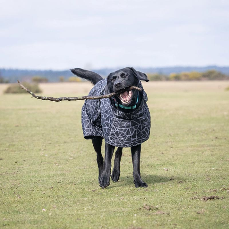 Rukka Pets gefütterter Regenmantel Regenjacke Hayton Warm in schwarz