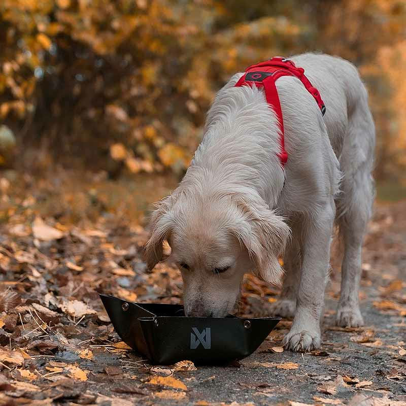 Non-stop Dogwear Trekking Bowl Futternapf Wassernapf in schwarz