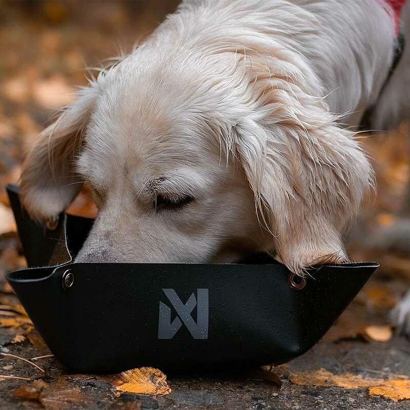 Non-stop Dogwear Trekking Bowl Futternapf Wassernapf in schwarz L