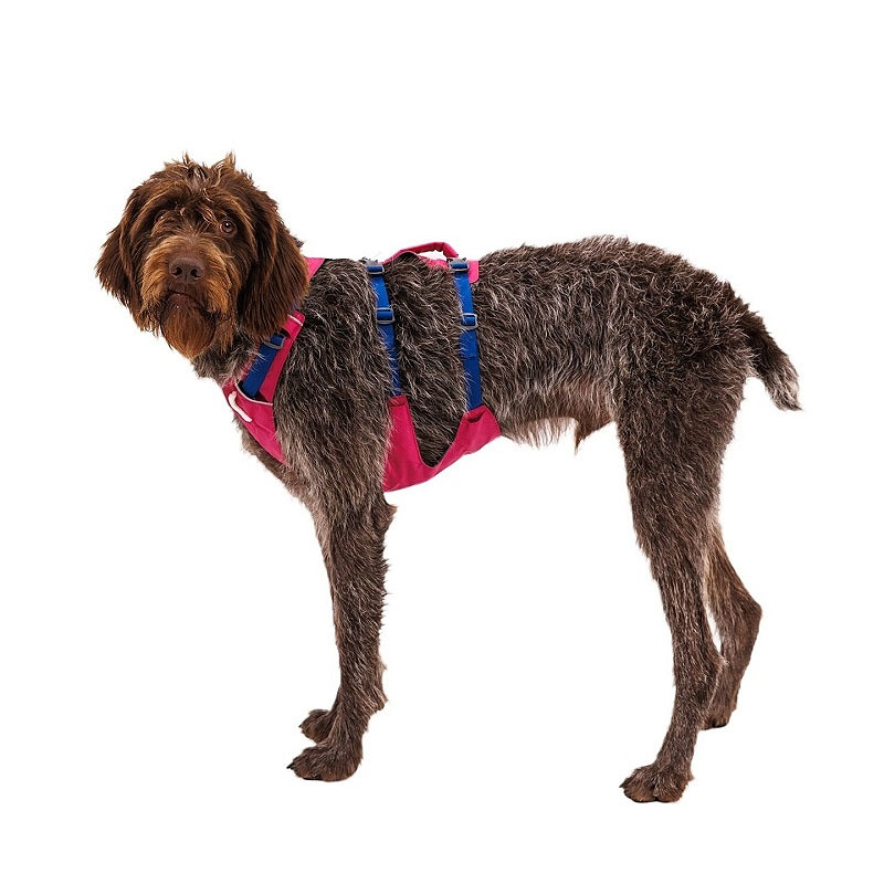 Ruffwear Sicherheitsgeschirr Flagline Alpenglow Pink