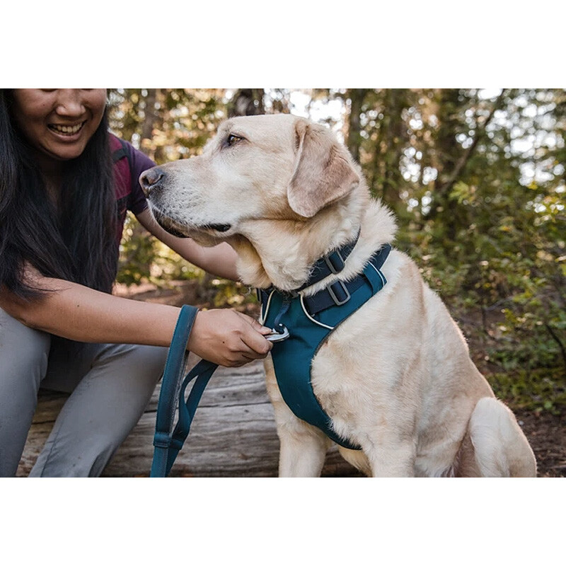 Ruffwear Front Range Brustgeschirr Coastal Mountains Blau