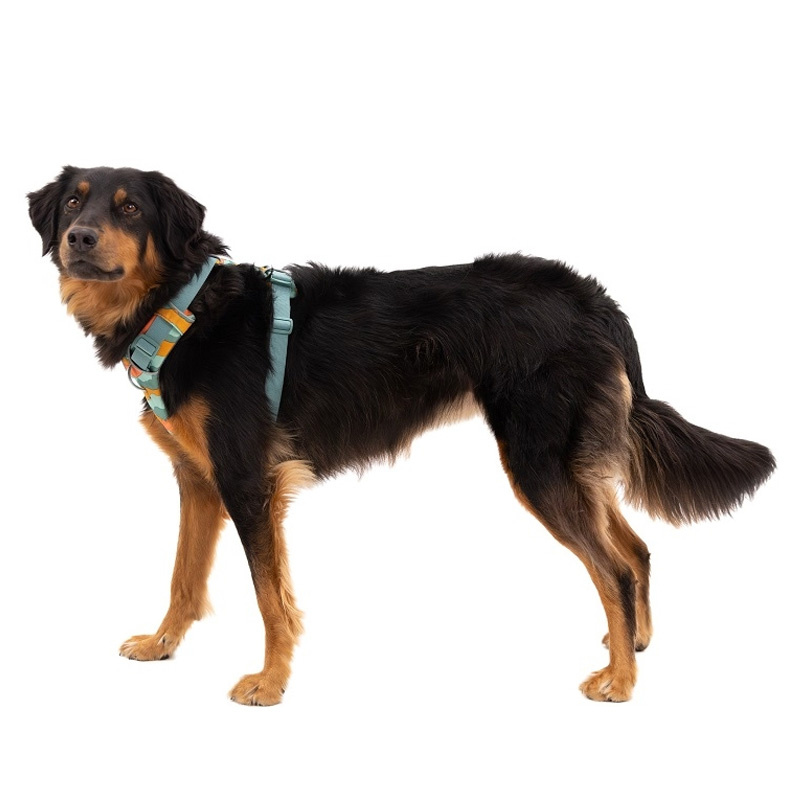 Ruffwear Front Range Brustgeschirr Spring Mountains Bunt