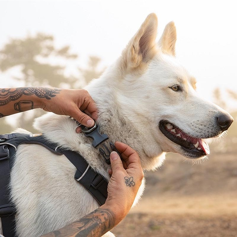 Ruffwear Halsband Front Range Red Canyon Rot