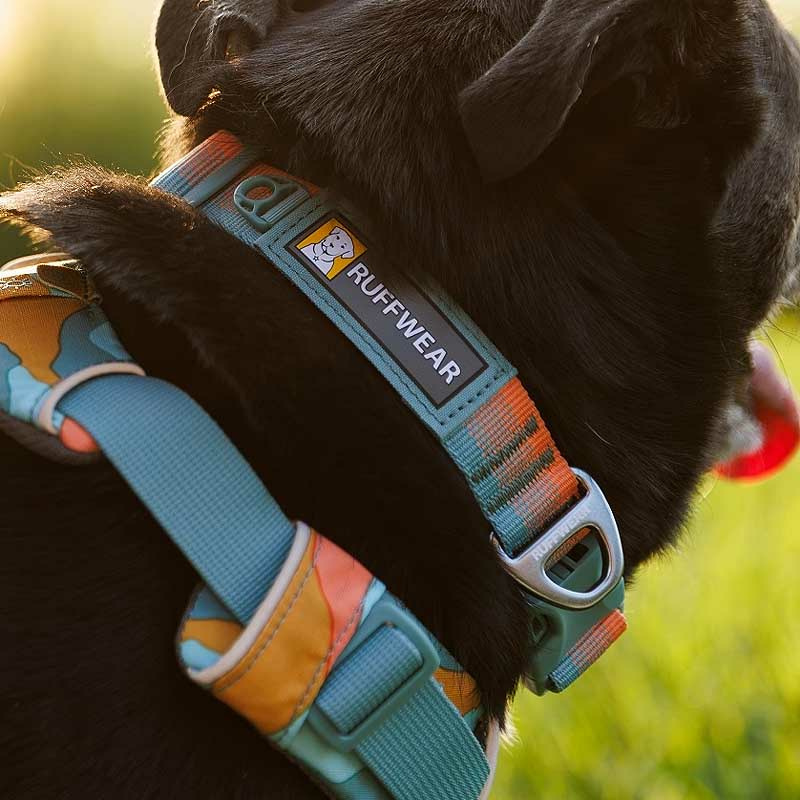 Ruffwear Halsband Front Range Spring Fade