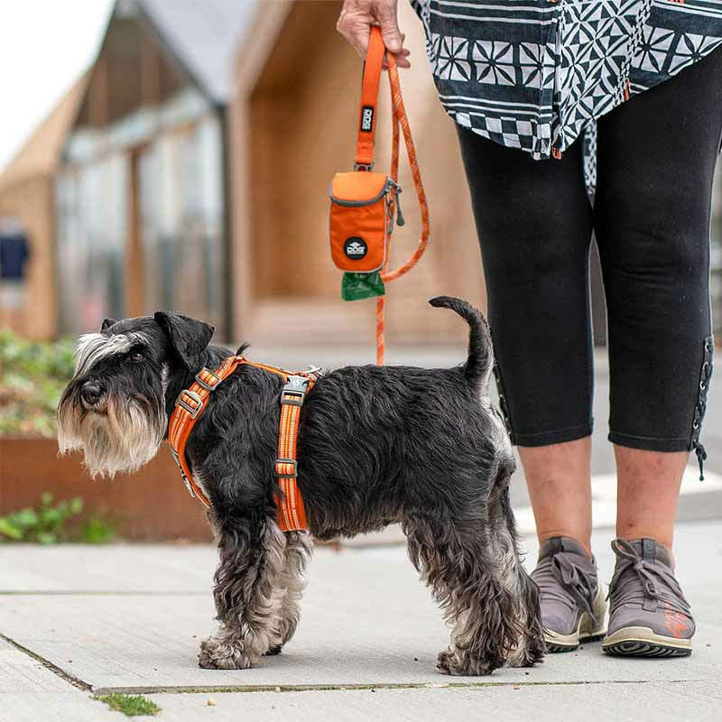 Dog Copenhagen Walk Harness Air Geschirr Black schwarz V3