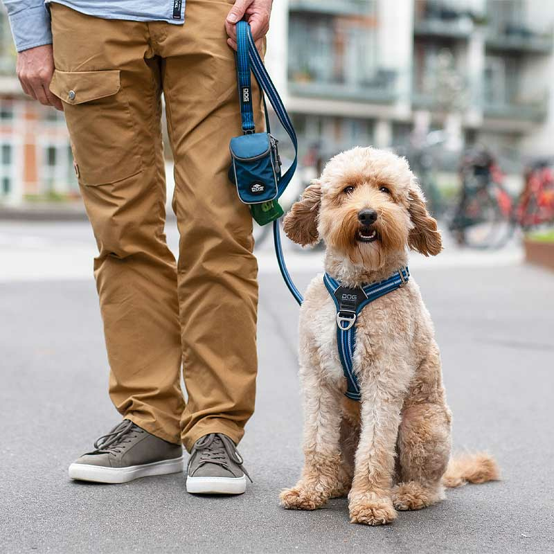 Dog Copenhagen Walk Harness Air Geschirr Ocean blau V3