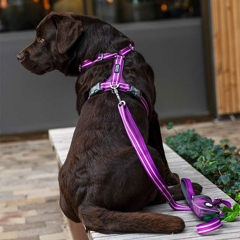 Dog Copenhagen Walk Harness Air Geschirr Mocca braun V3