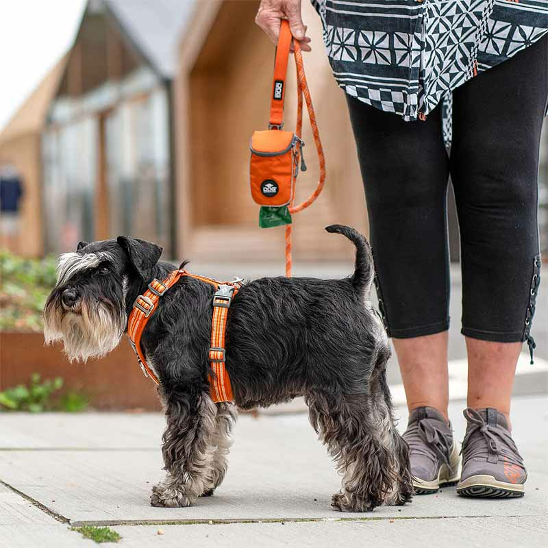 Dog Copenhagen Walk Harness Air Geschirr Orange Sun V3