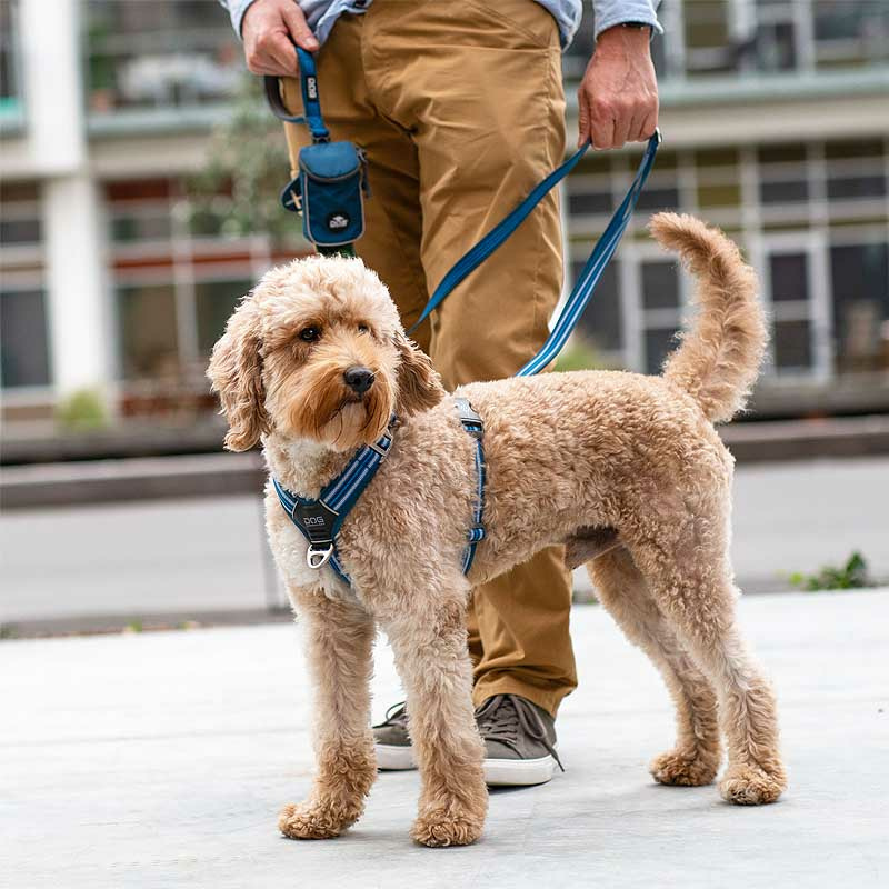 Dog Copenhagen Walk Harness Air Geschirr Orange Sun V3