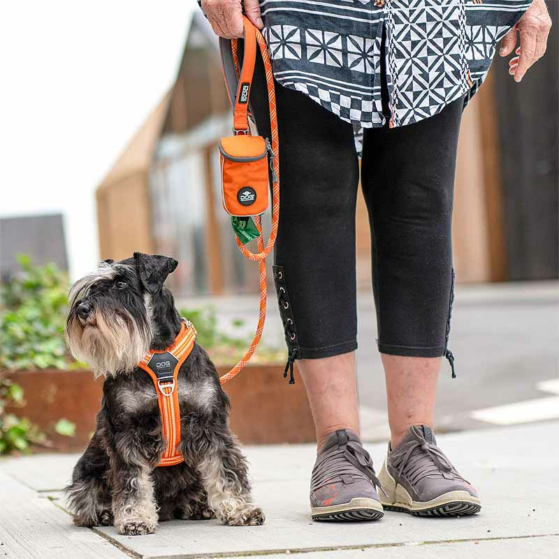 Dog Copenhagen Walk Harness Air Geschirr Orange Sun V3