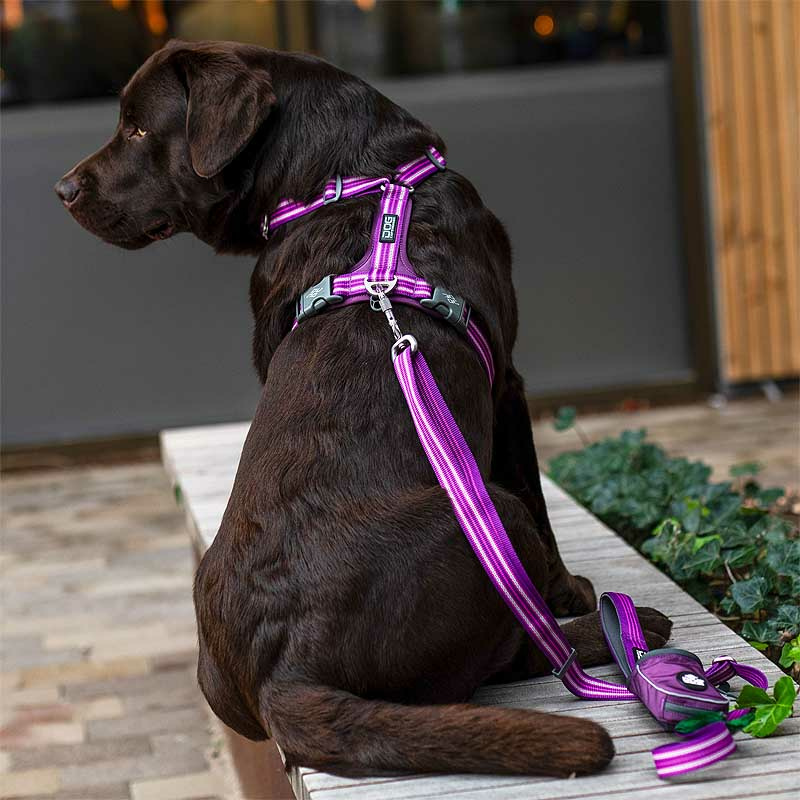 Dog Copenhagen Walk Harness Air Geschirr Wild Rose pink V3