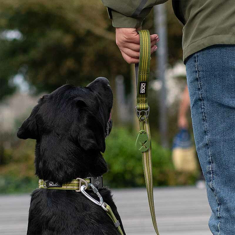 Dog Copenhagen Halsband Urban Style V3 Orange Sun