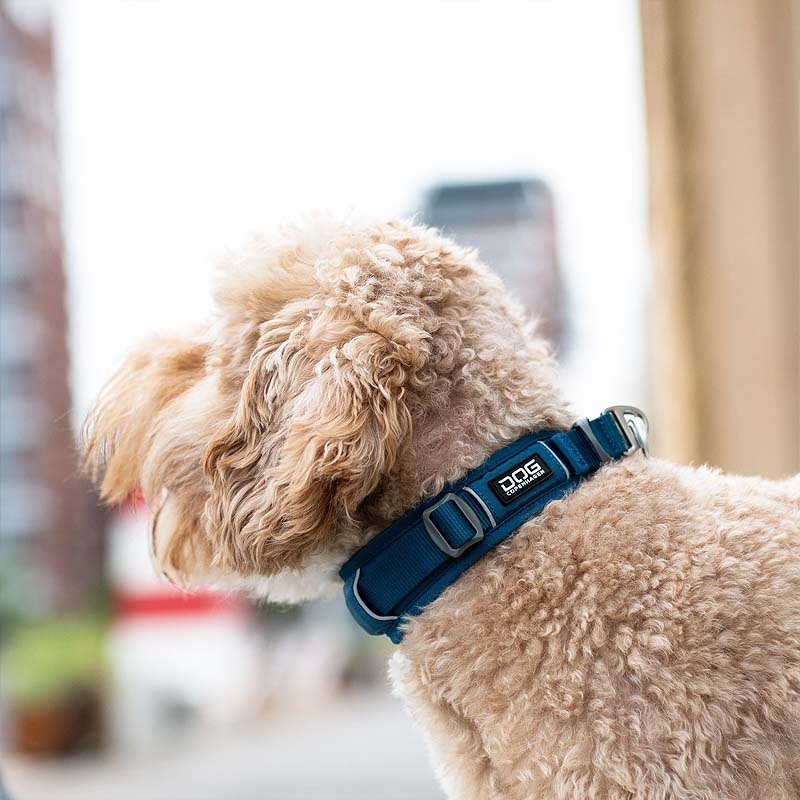 Dog Copenhagen Halsband Urban Explorer V3 Ocean Blau