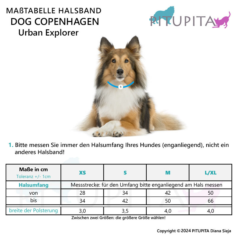 Dog Copenhagen Halsband Urban Explorer V3 Ocean Blau