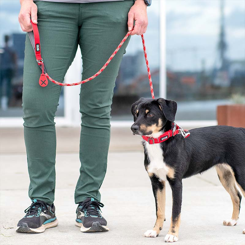 Dog Copenhagen Leine runde Führleine Urban Rope V3 Ocean Blau