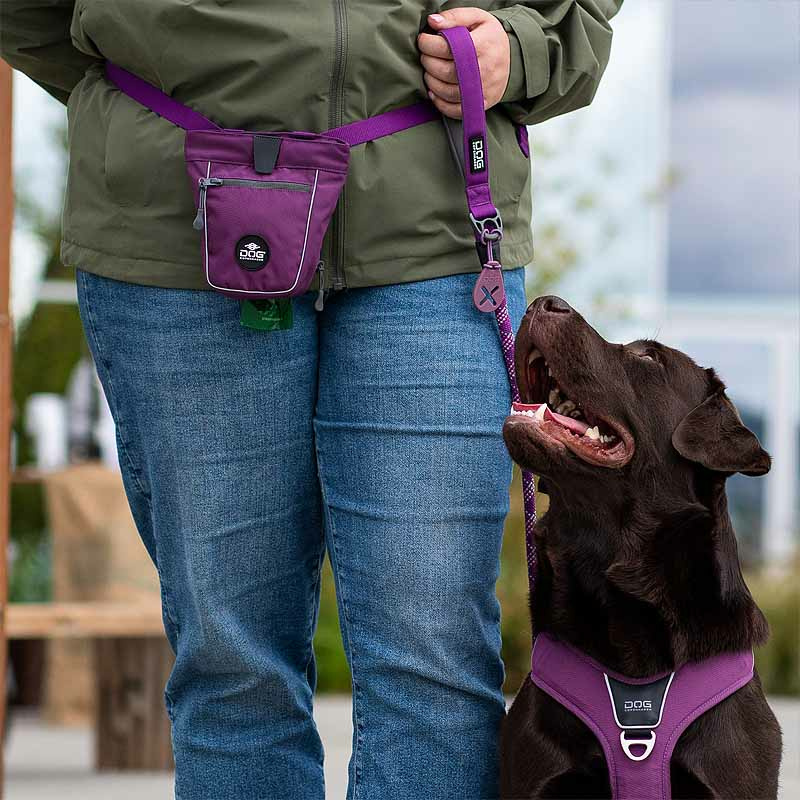 Dog Copenhagen Leine rund Führleine Urban Rope V3 Purple Passion lila