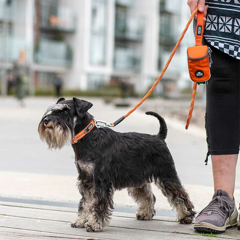 Dog Copenhagen Leine rund Führleine Urban Rope V3 Orange Sun