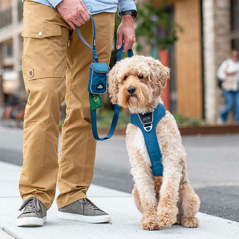 Dog Copenhagen Leine Führleine Urban Trail V3 Ocean Blau