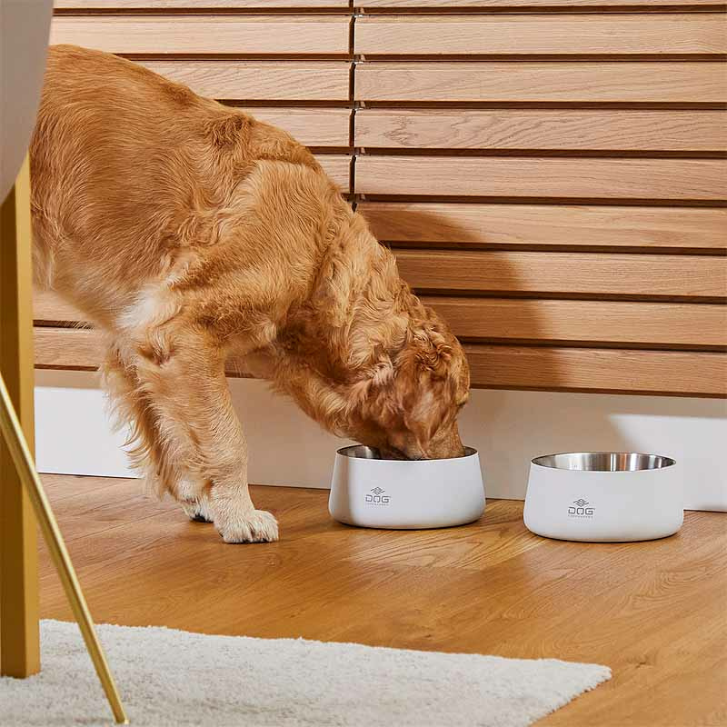 Dog Copenhagen Vega Bowl Futternapf Wassernapf Steel silber