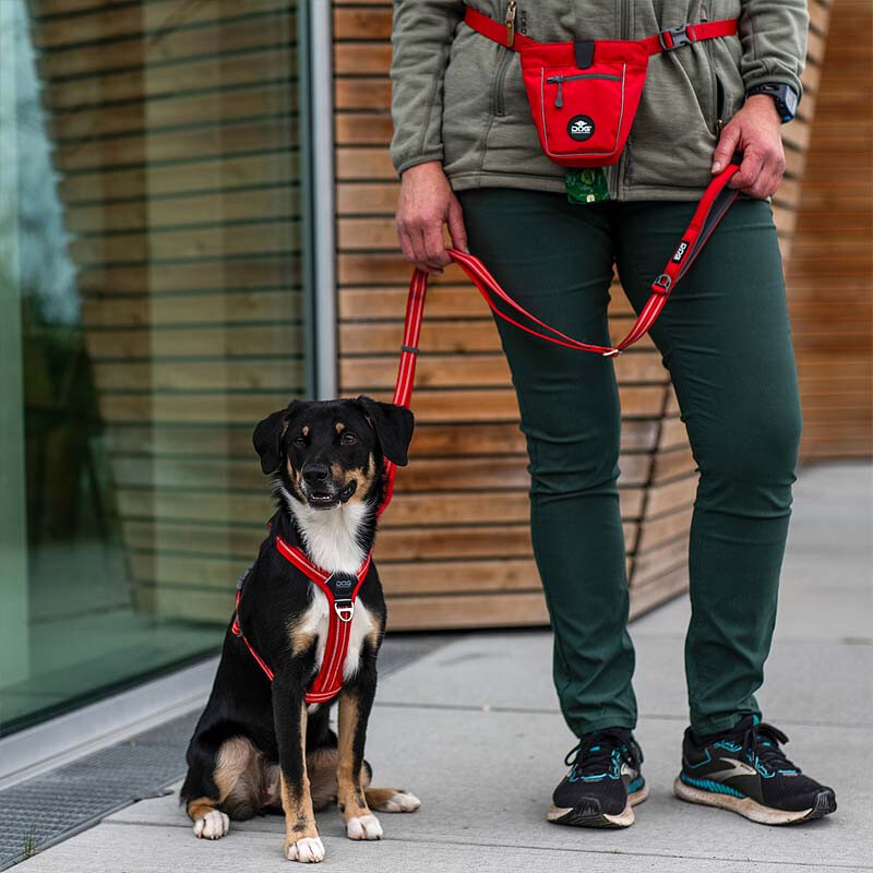 Dog Copenhagen Futterbeutel Treat Bag Go Explore Hunting Green grün