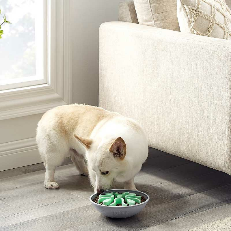 Outward Hound Fun Feeder Wobble Slo Bowl Anti Schling Napf