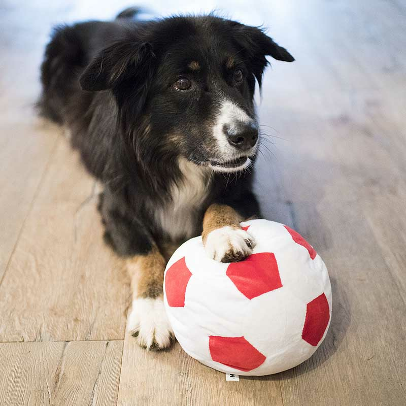 weicher Fussball für deinen Hund Ø 22cm schwarz