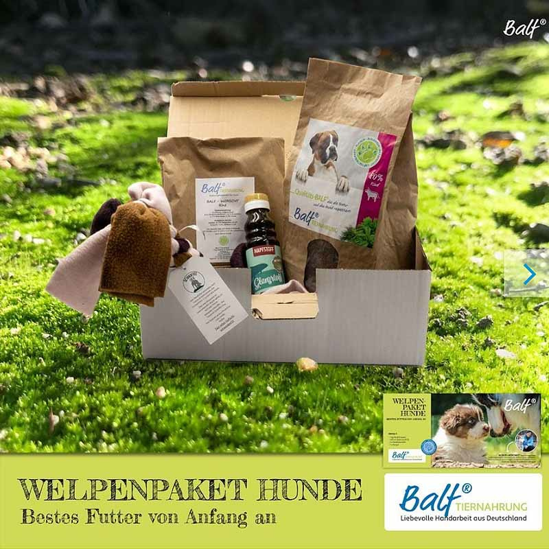 Balf Welpen-Paket für Hunde