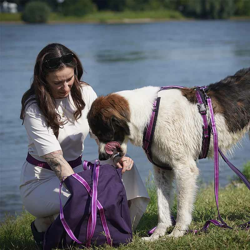 Anny-X Strandtasche Limited Edition in Wildflieder