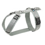 AnnyX Brustgeschirr Hundegeschirr Fun grau-silber M