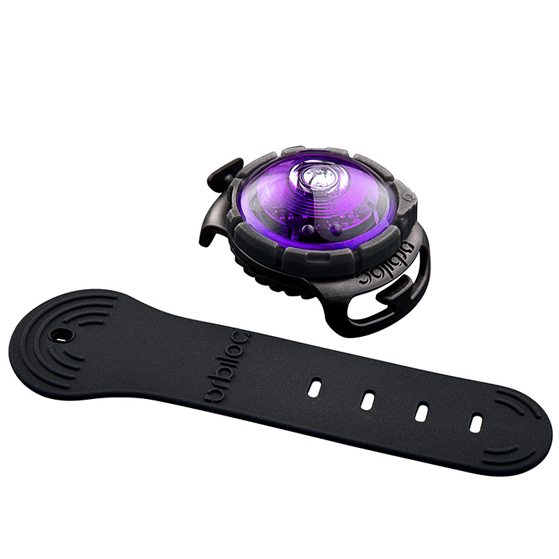 Orbiloc Safety Light helles Hundelicht Sicherheitslicht LILA-VIOLETT-PURPLE