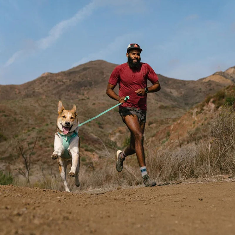 Ruffwear Hundegeschirr Hi & Light Gesamtübersicht