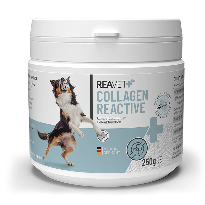 REAVET Collagen Reactive für Hunde