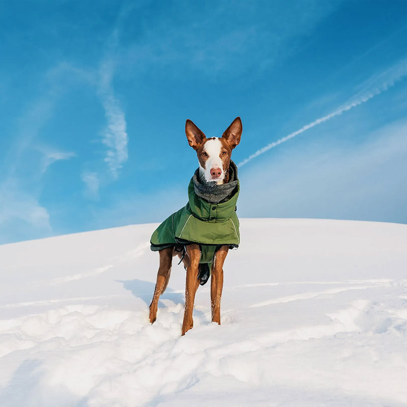 Rukka Pets Wintermantel Warmup Gesamtübersicht