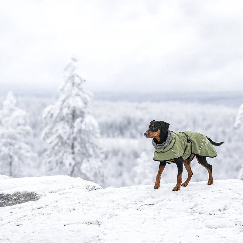 Rukka Pets Wintermantel Warmup Gesamtübersicht