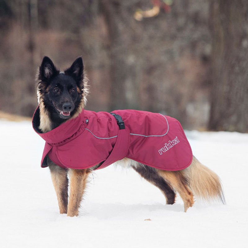 Rukka Pets Wintermantel Stormy Gesamtübersicht