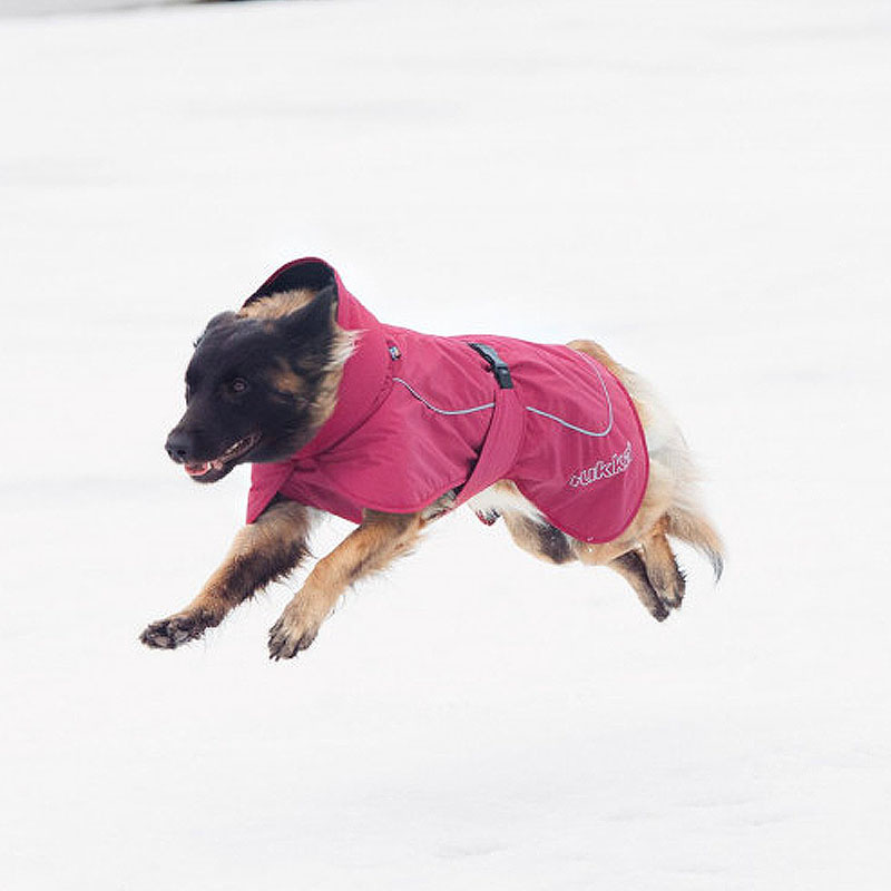 Rukka Pets Wintermantel Stormy Gesamtübersicht