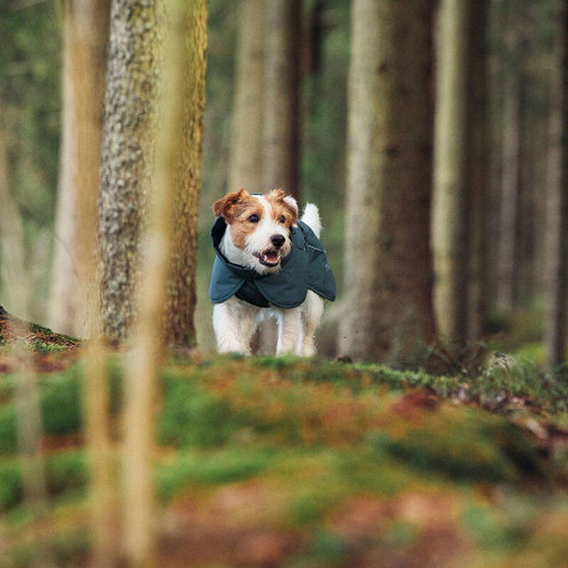 Rukka Pets Wintermantel Stormy ECO Gesamtübersicht