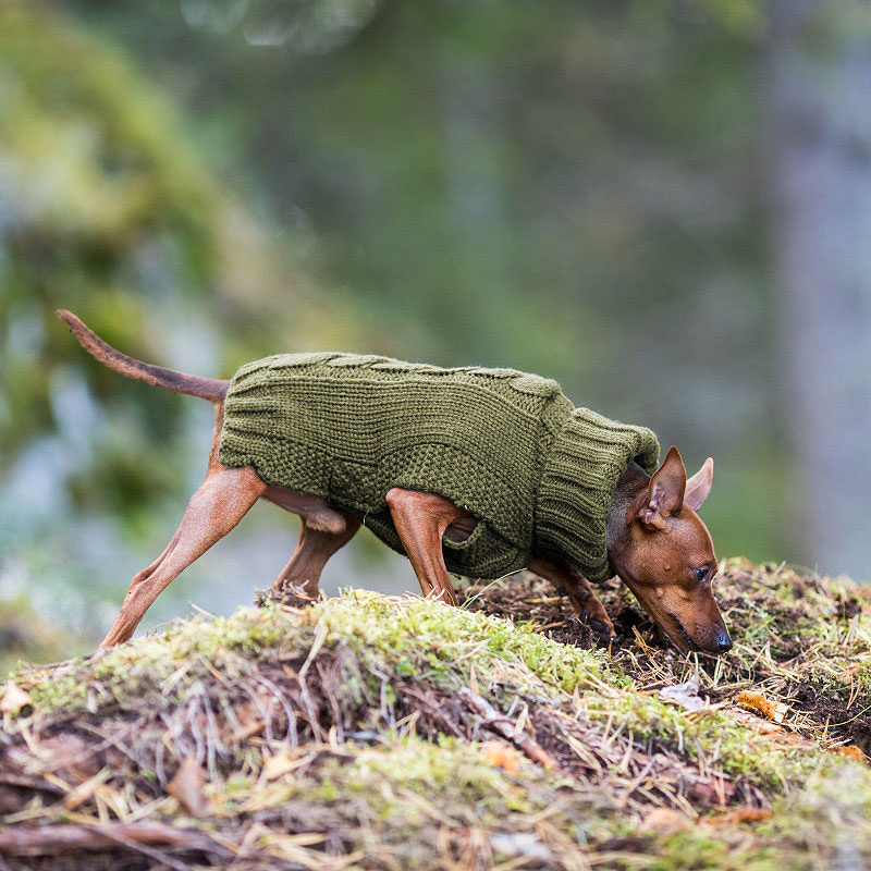 Rukka Pets Strickpullover WOOLY Gesamtübersicht