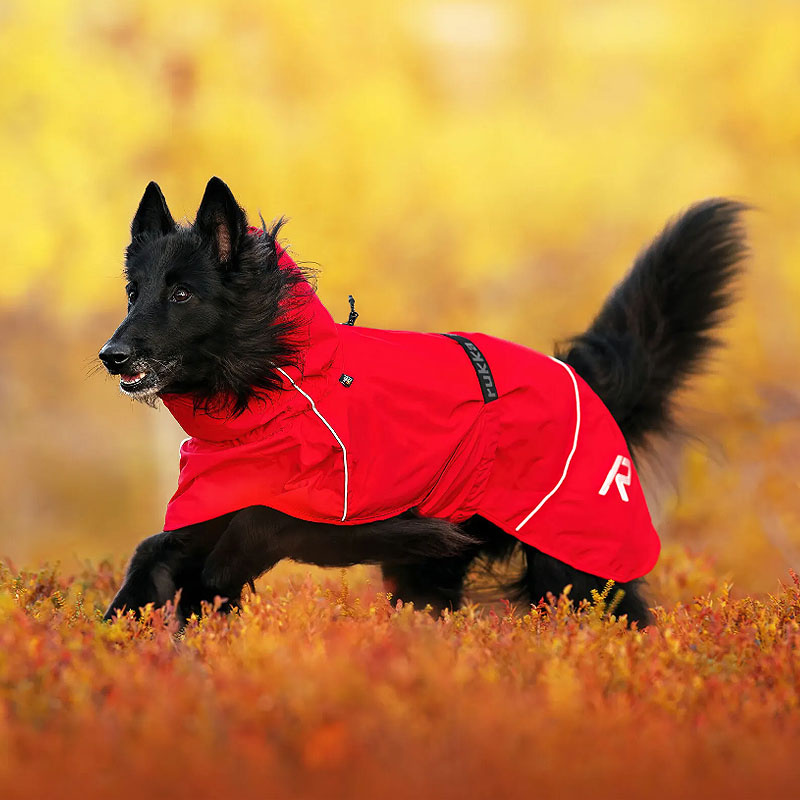 Rukka Pets Regenjacke Regenmantel Hayton ECO Gesamtübersicht