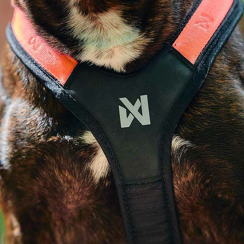 Non-stop dogwear Rush Harness Brustgeschirr Zuggeschirr