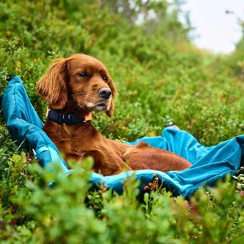 Non-stop dogwear Trekking Campingmatte Hundebett