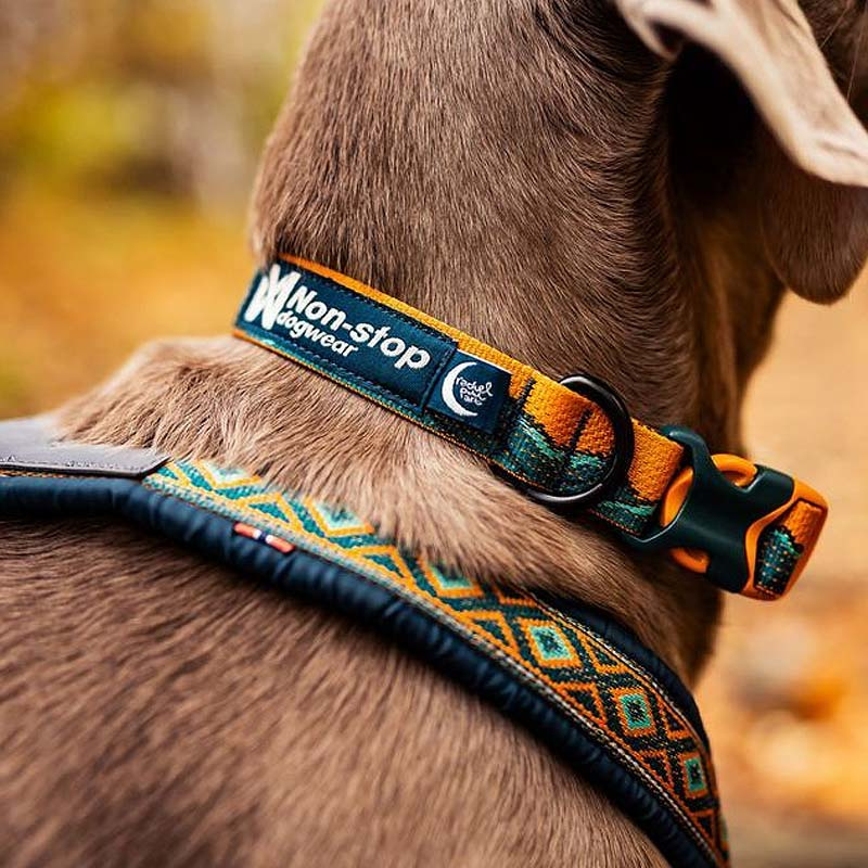 Non-stop dogwear Halsband Trail quest collar Rachel Pohl Edition