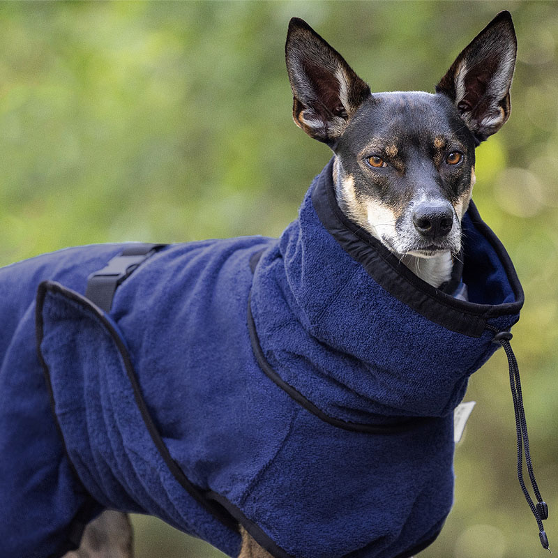 WarmUp Cape PRO Mantel für mittelgroße Hunde Gesamtübersicht