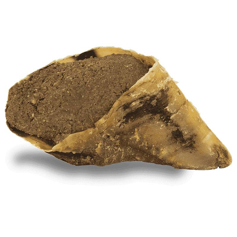 IRISH PURE Irisches Filled Hoof gefüllter Huf mit Kelp RIND